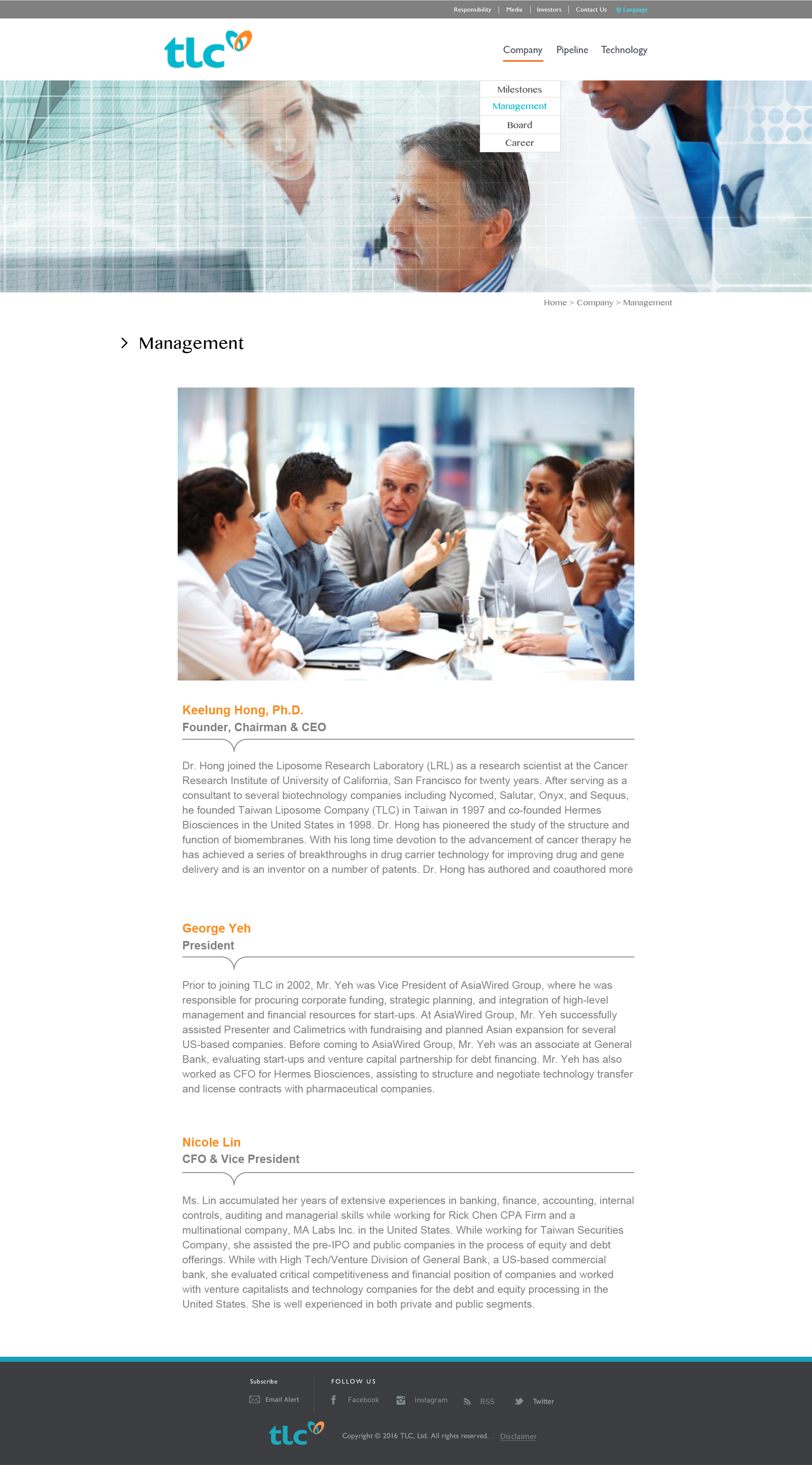 TLC Limited website content design